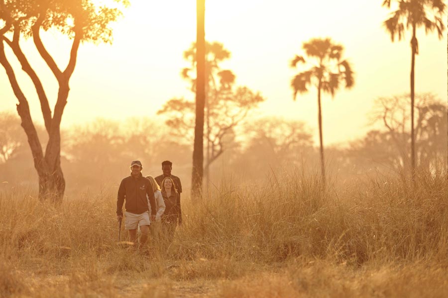 Accessing Ruaha National Park by Air