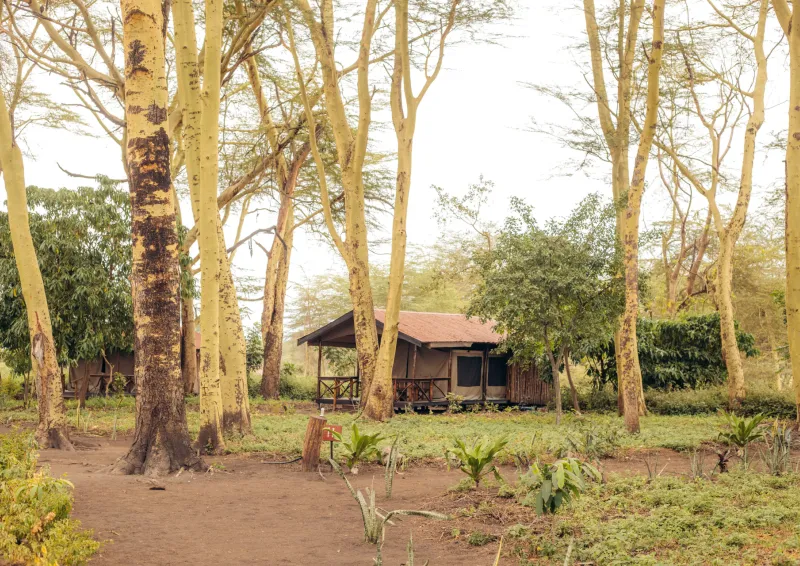 Migunga Forest Camp
